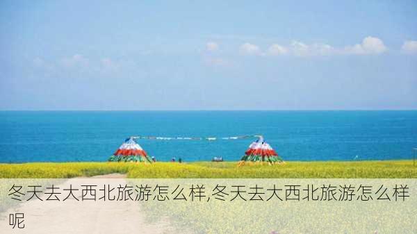 冬天去大西北旅游怎么样,冬天去大西北旅游怎么样呢