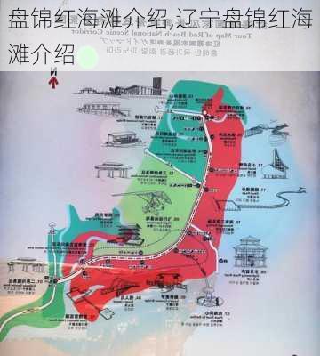 盘锦红海滩介绍,辽宁盘锦红海滩介绍-第1张图片-奥莱旅游网