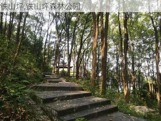 铁山坪,铁山坪森林公园-第2张图片-奥莱旅游网