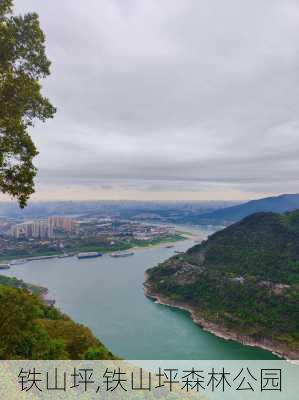 铁山坪,铁山坪森林公园-第1张图片-奥莱旅游网