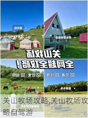 关山牧场攻略,关山牧场攻略自驾游-第3张图片-奥莱旅游网