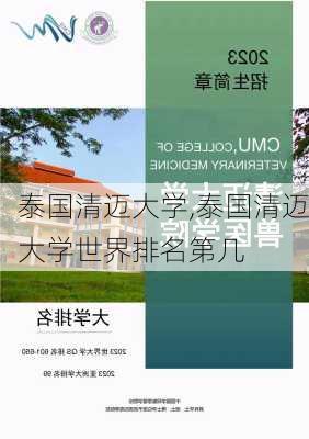 泰国清迈大学,泰国清迈大学世界排名第几-第2张图片-奥莱旅游网