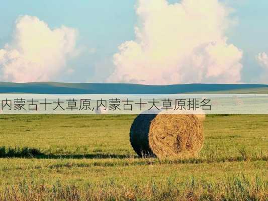 内蒙古十大草原,内蒙古十大草原排名-第2张图片-奥莱旅游网