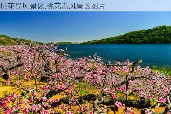 桃花岛风景区,桃花岛风景区图片-第2张图片-奥莱旅游网