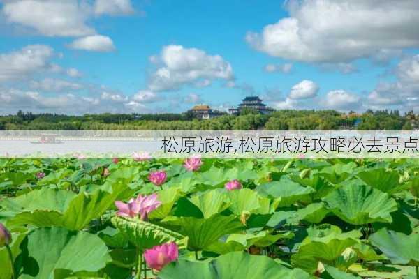 松原旅游,松原旅游攻略必去景点-第1张图片-奥莱旅游网