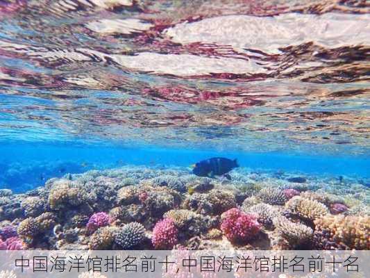 中国海洋馆排名前十,中国海洋馆排名前十名-第1张图片-奥莱旅游网