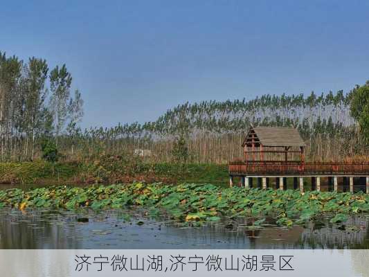 济宁微山湖,济宁微山湖景区