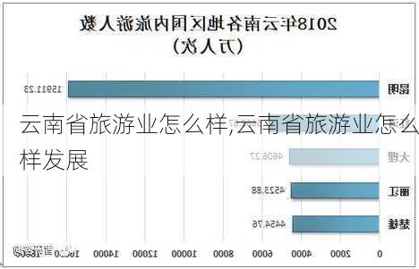 云南省旅游业怎么样,云南省旅游业怎么样发展-第2张图片-奥莱旅游网