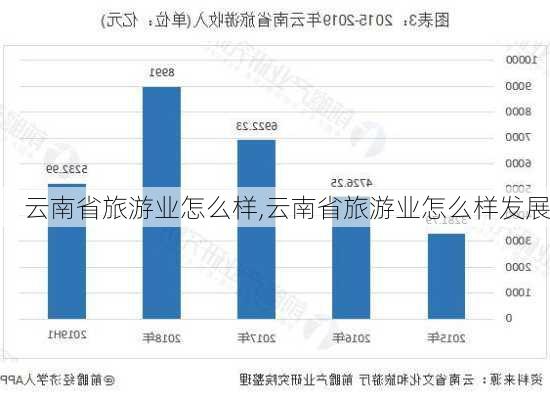 云南省旅游业怎么样,云南省旅游业怎么样发展-第3张图片-奥莱旅游网