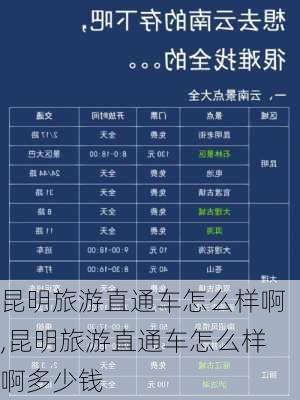 昆明旅游直通车怎么样啊,昆明旅游直通车怎么样啊多少钱-第2张图片-奥莱旅游网