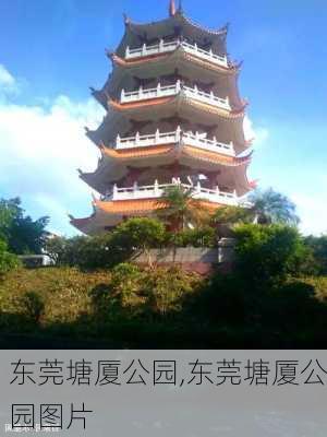 东莞塘厦公园,东莞塘厦公园图片-第2张图片-奥莱旅游网