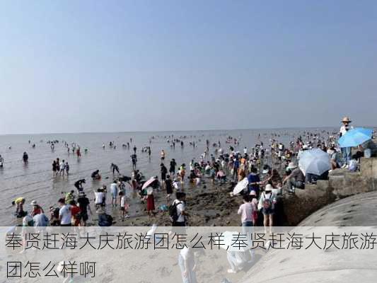 奉贤赶海大庆旅游团怎么样,奉贤赶海大庆旅游团怎么样啊-第3张图片-奥莱旅游网