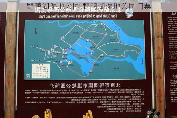 野鸭湖湿地公园,野鸭湖湿地公园门票-第1张图片-奥莱旅游网