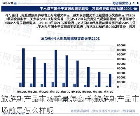 旅游新产品市场前景怎么样,旅游新产品市场前景怎么样呢-第2张图片-奥莱旅游网