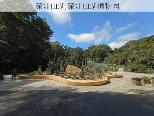 深圳仙湖,深圳仙湖植物园-第2张图片-奥莱旅游网