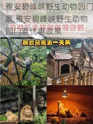 雅安碧峰峡野生动物园门票,雅安碧峰峡野生动物园门票优惠政策-第1张图片-奥莱旅游网