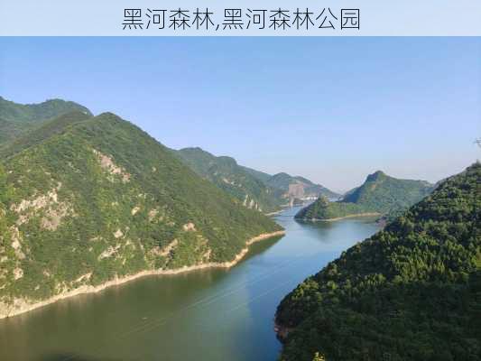 黑河森林,黑河森林公园-第2张图片-奥莱旅游网