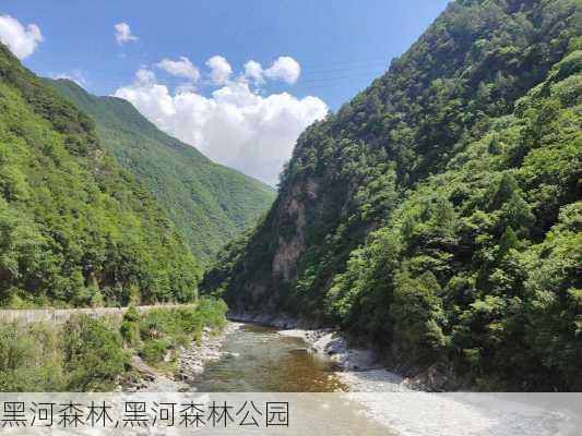 黑河森林,黑河森林公园-第3张图片-奥莱旅游网