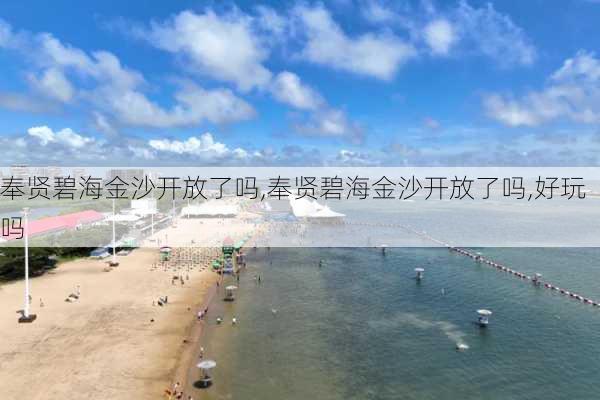 奉贤碧海金沙开放了吗,奉贤碧海金沙开放了吗,好玩吗-第3张图片-奥莱旅游网