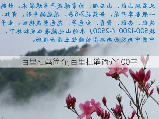 百里杜鹃简介,百里杜鹃简介100字-第1张图片-奥莱旅游网