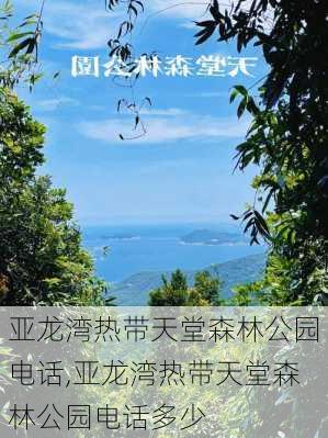 亚龙湾热带天堂森林公园电话,亚龙湾热带天堂森林公园电话多少-第2张图片-奥莱旅游网