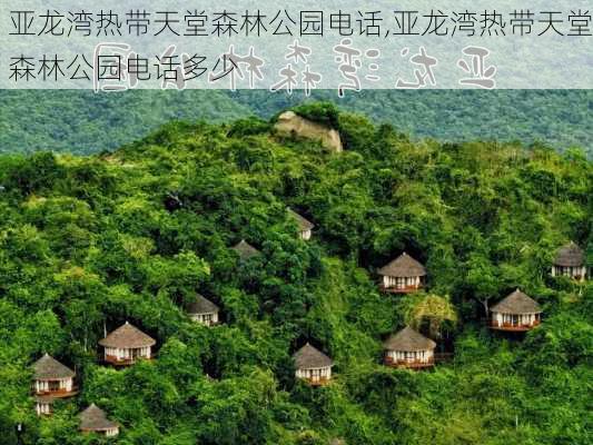 亚龙湾热带天堂森林公园电话,亚龙湾热带天堂森林公园电话多少-第1张图片-奥莱旅游网