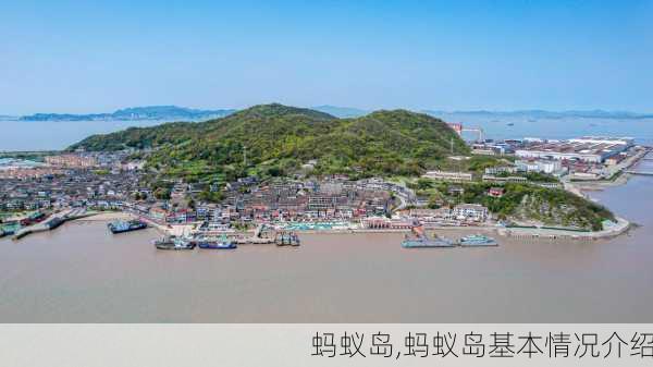 蚂蚁岛,蚂蚁岛基本情况介绍-第3张图片-奥莱旅游网