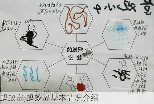 蚂蚁岛,蚂蚁岛基本情况介绍-第2张图片-奥莱旅游网