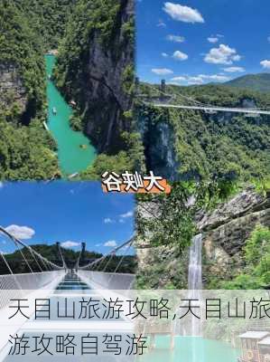 天目山旅游攻略,天目山旅游攻略自驾游