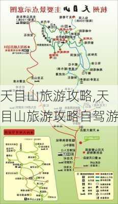 天目山旅游攻略,天目山旅游攻略自驾游-第3张图片-奥莱旅游网