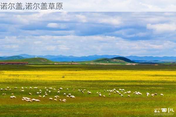 诺尔盖,诺尔盖草原-第1张图片-奥莱旅游网