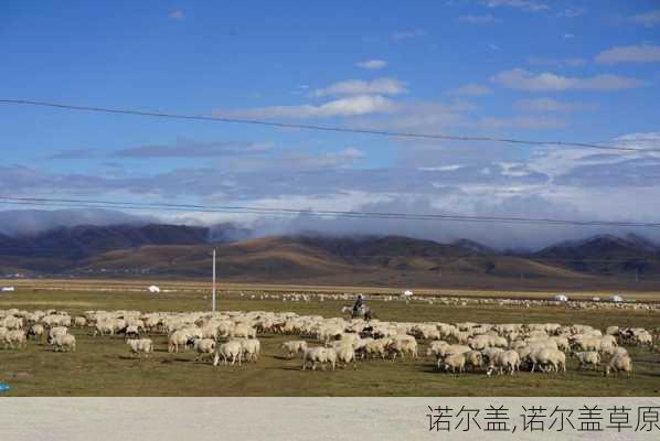 诺尔盖,诺尔盖草原-第3张图片-奥莱旅游网