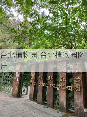 台北植物园,台北植物园图片-第2张图片-奥莱旅游网