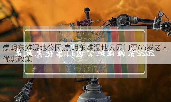 崇明东滩湿地公园,崇明东滩湿地公园门票65岁老人优惠政策-第3张图片-奥莱旅游网