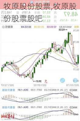 牧原股份股票,牧原股份股票股吧-第2张图片-奥莱旅游网