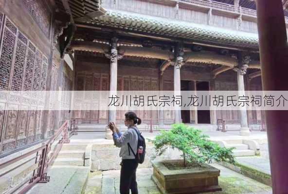 龙川胡氏宗祠,龙川胡氏宗祠简介-第1张图片-奥莱旅游网