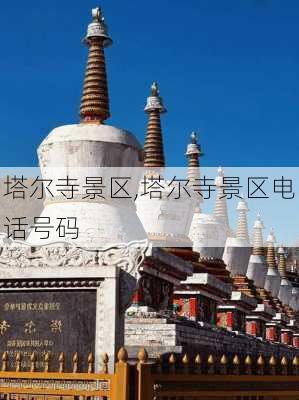 塔尔寺景区,塔尔寺景区电话号码-第2张图片-奥莱旅游网