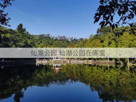 仙湖公园,仙湖公园在哪里-第1张图片-奥莱旅游网