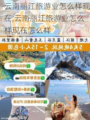 云南丽江旅游业怎么样现在,云南丽江旅游业怎么样现在怎么样-第3张图片-奥莱旅游网