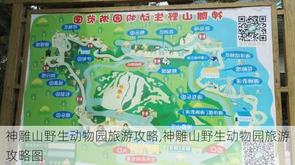 神雕山野生动物园旅游攻略,神雕山野生动物园旅游攻略图-第3张图片-奥莱旅游网