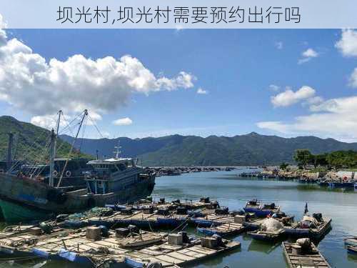 坝光村,坝光村需要预约出行吗-第3张图片-奥莱旅游网