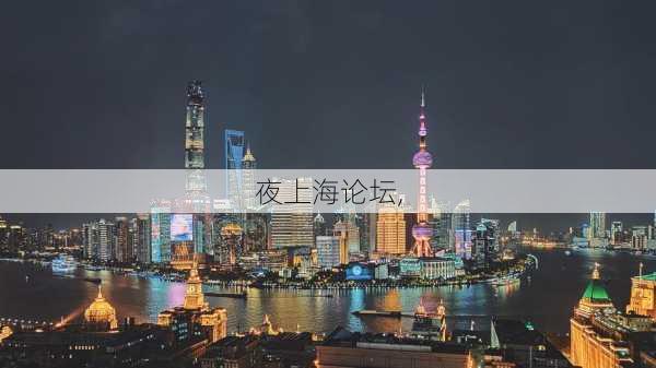 夜上海论坛,-第3张图片-奥莱旅游网