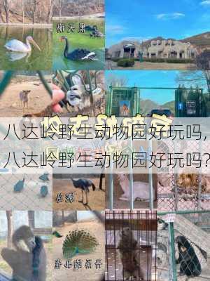 八达岭野生动物园好玩吗,八达岭野生动物园好玩吗?-第3张图片-奥莱旅游网