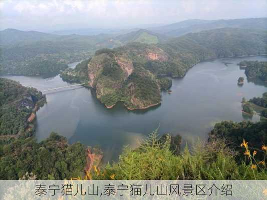 泰宁猫儿山,泰宁猫儿山风景区介绍-第2张图片-奥莱旅游网