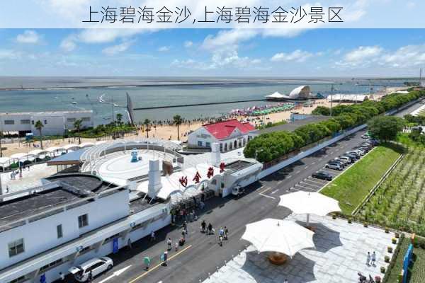 上海碧海金沙,上海碧海金沙景区-第2张图片-奥莱旅游网