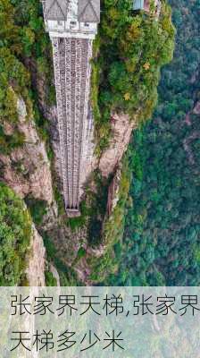 张家界天梯,张家界天梯多少米-第2张图片-奥莱旅游网