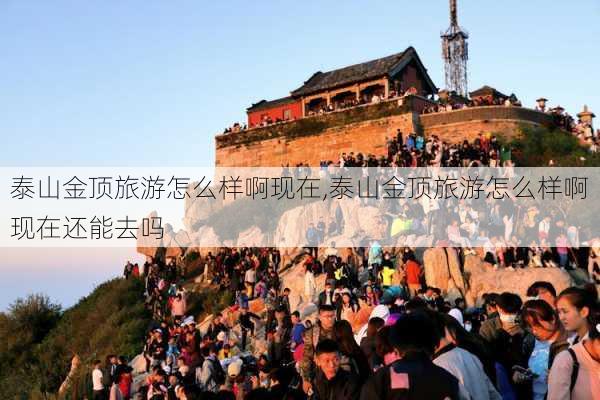 泰山金顶旅游怎么样啊现在,泰山金顶旅游怎么样啊现在还能去吗-第1张图片-奥莱旅游网