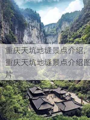 重庆天坑地缝景点介绍,重庆天坑地缝景点介绍图片-第3张图片-奥莱旅游网