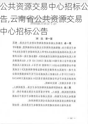 公共资源交易中心招标公告,云南省公共资源交易中心招标公告-第3张图片-奥莱旅游网