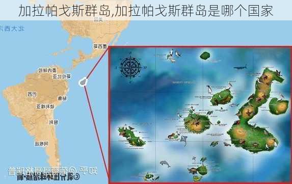 加拉帕戈斯群岛,加拉帕戈斯群岛是哪个国家-第3张图片-奥莱旅游网